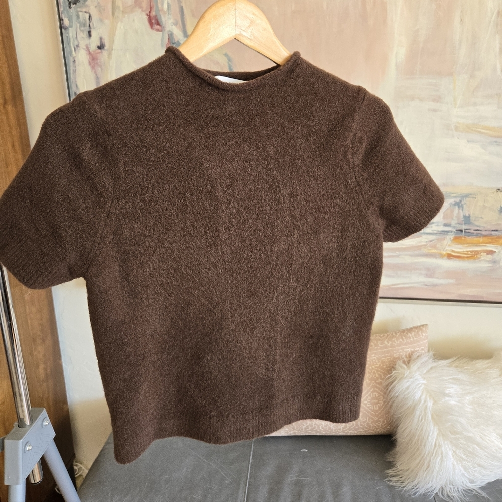 Zara Chocolate Brown Rollneck Short Sleeve Knit Top